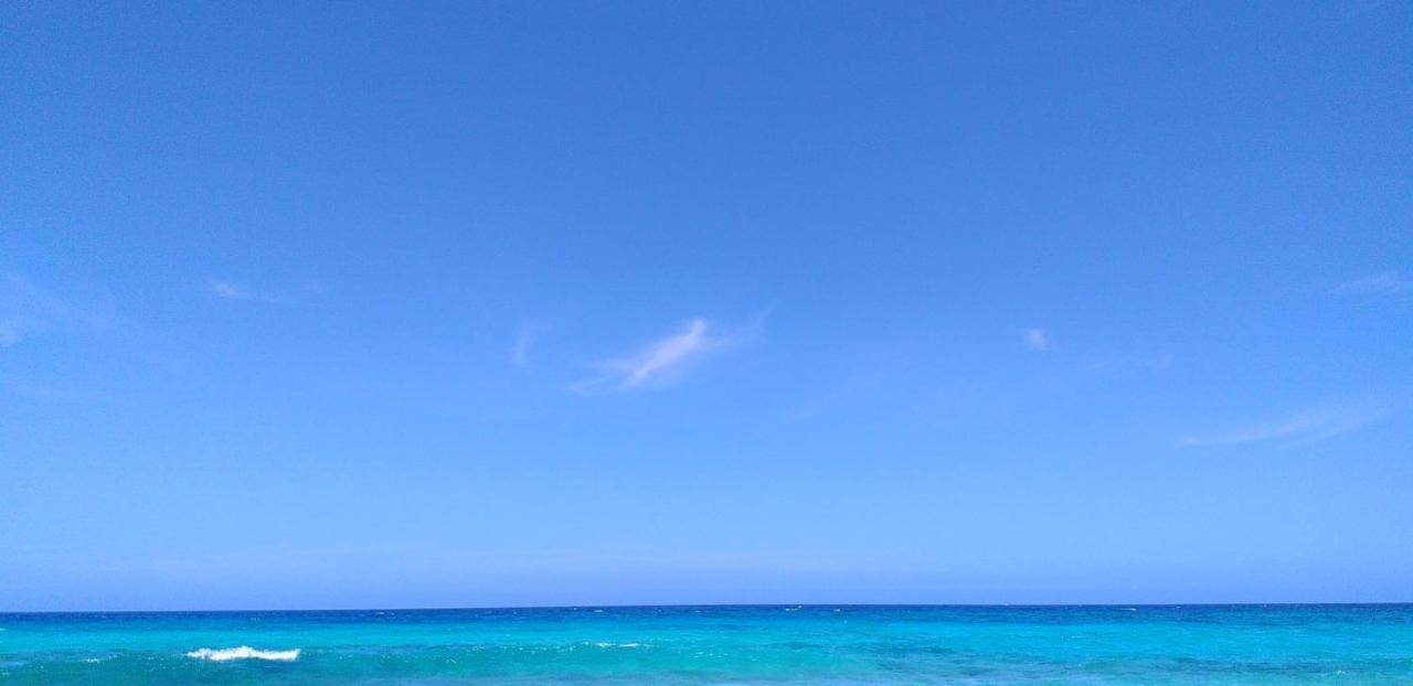 Surf Up Zimmer Mit Meerblick Parque Holandes Dış mekan fotoğraf